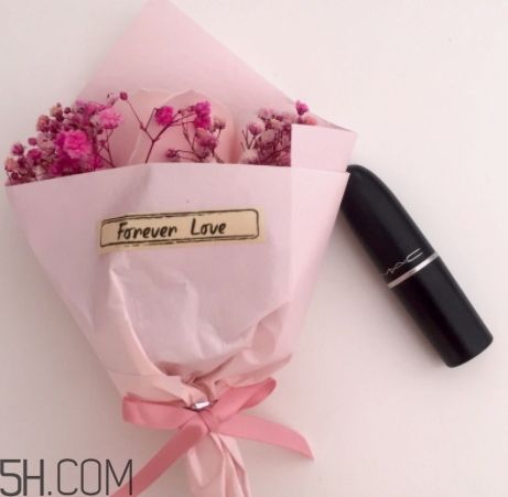 mac和迪奧口紅哪個好？mac魅可和dior口紅哪個好用