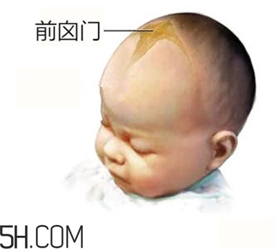 寶寶囟門(mén)是怎樣的一個(gè)部位？寶寶的囟門(mén)要怎樣保護(hù)比較好？