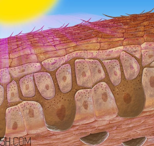 經(jīng)期小腹墜脹怎么辦？經(jīng)期小腹墜脹怎么回事？