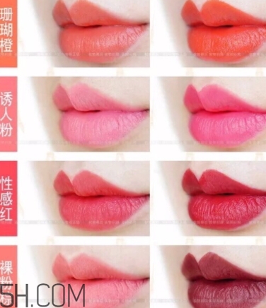 唇膏盤怎么用？口紅盤怎么用法