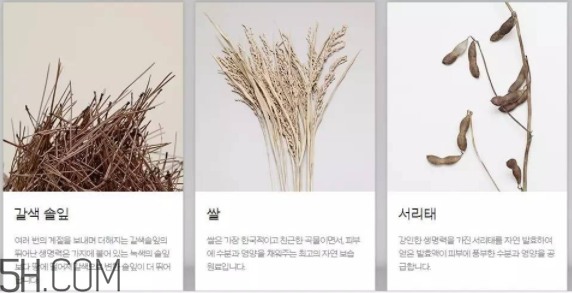 韓律護(hù)膚品怎么樣？韓律全系列介紹