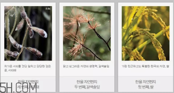 韓律護(hù)膚品怎么樣？韓律全系列介紹