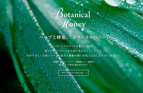 vecua是什么牌子？vecua honey是哪國的什么檔次