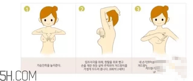 常見(jiàn)的豐胸湯有哪些？女人豐胸湯有哪些？