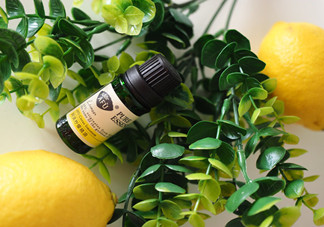 檸檬精油的功效有哪些？檸檬精油有什么功效？