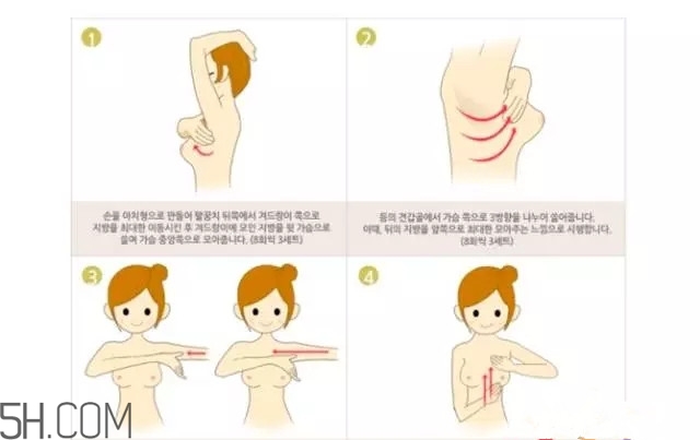 常見(jiàn)的豐胸湯有哪些？女人豐胸湯有哪些？