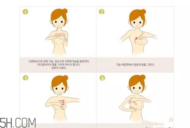 常見(jiàn)的豐胸湯有哪些？女人豐胸湯有哪些？