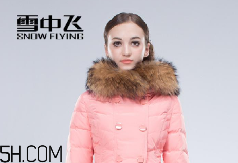 最貴的羽絨服什么價(jià)格？羽絨服什么牌子的好？