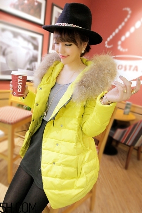 最貴的羽絨服什么價(jià)格？羽絨服什么牌子的好？