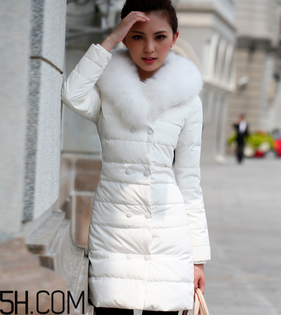 最貴的羽絨服什么價(jià)格？羽絨服什么牌子的好？