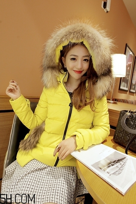 最貴的羽絨服什么價(jià)格？羽絨服什么牌子的好？