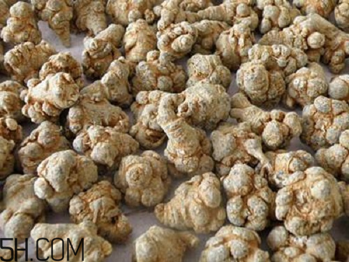 三七粉苦的好還是不苦的好？三七粉越苦越好嗎？