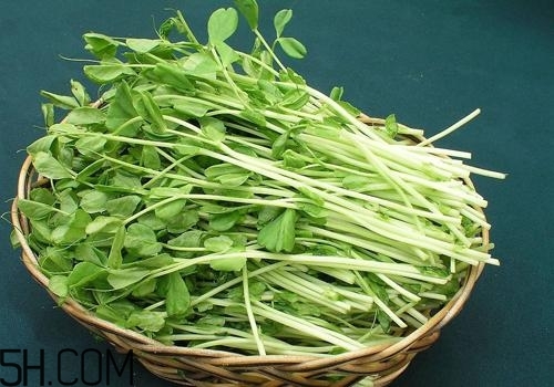 女性吃什么能瘦臉？能瘦臉的食物有哪些？