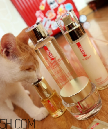 羽西蟲(chóng)草新肌水有什么功效？適合什么膚質(zhì)？