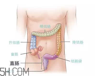 宿便有什么危害？如何清除宿便？