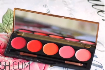 2018年口紅盤哪個牌子好？2018口紅盤排行榜前十強