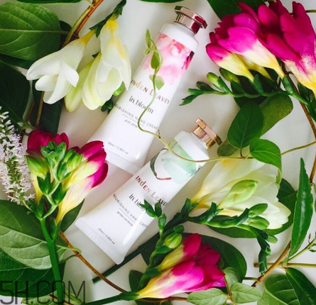 linden leaves香氛護(hù)手霜好用嗎？laura ashley護(hù)手霜好用嗎？