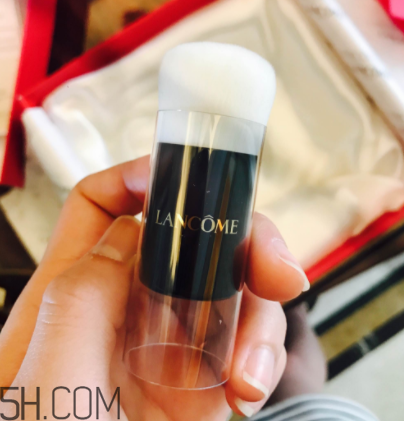 蘭蔻菁純氣墊粉底液110號色適合黃皮嗎？真人試色