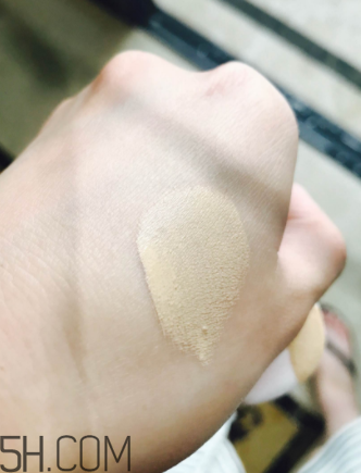 蘭蔻菁純氣墊粉底液110號色適合黃皮嗎？真人試色