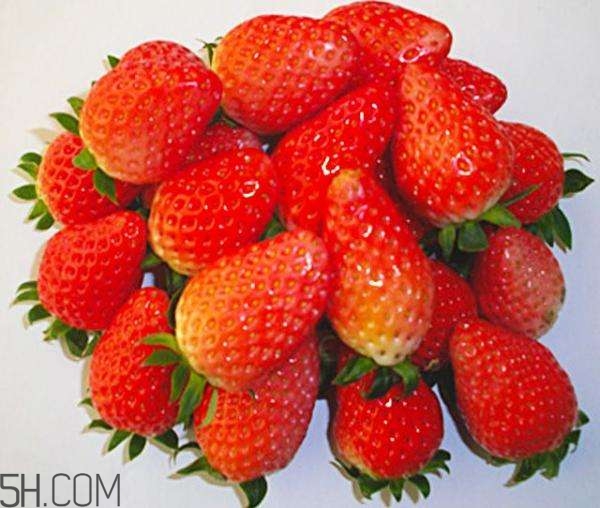 草莓空心好還是實心好？草莓中間空心是為什么？