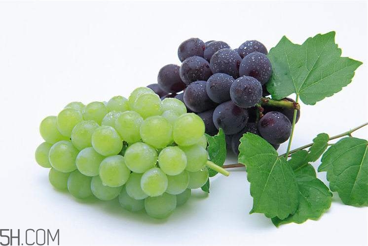 哪些水果有滋陰效果？有滋陰效果的水果有哪些？