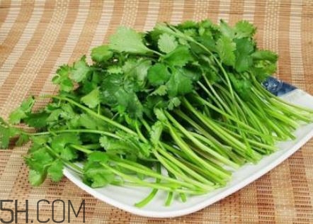 香菜根煮水怎么煮？香菜根煮水喝幾天見(jiàn)效？