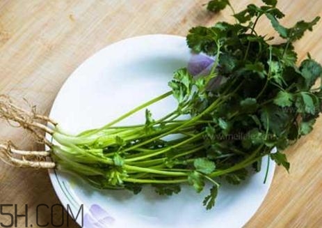 香菜根煮水能減肥嗎？香菜根煮水能天天喝嗎？