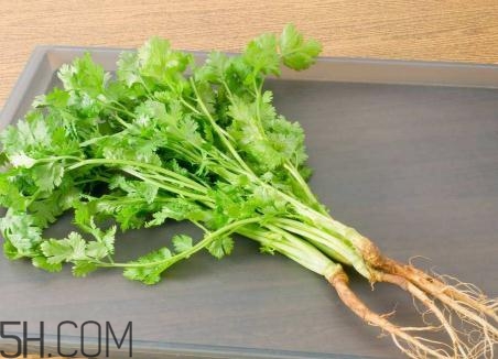 香菜根煮水能美白嗎？香菜根煮水能祛斑嗎？