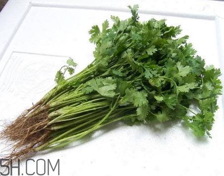 香菜根煮水能美白嗎？香菜根煮水能祛斑嗎？