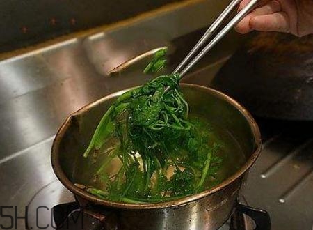 香菜根煮水能退燒嗎？香菜根煮水能治咳嗽嗎？