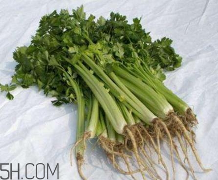 香菜根煮水能退燒嗎？香菜根煮水能治咳嗽嗎？