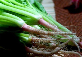 香菜根煮水能美白嗎？香菜根煮水能祛斑嗎？