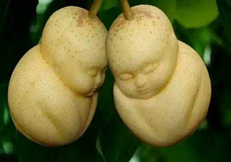 女人吃人參果有哪些好處？人參果的營養(yǎng)價(jià)值是什么？