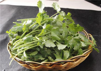 香菜根煮水能減肥嗎？香菜根煮水能天天喝嗎？