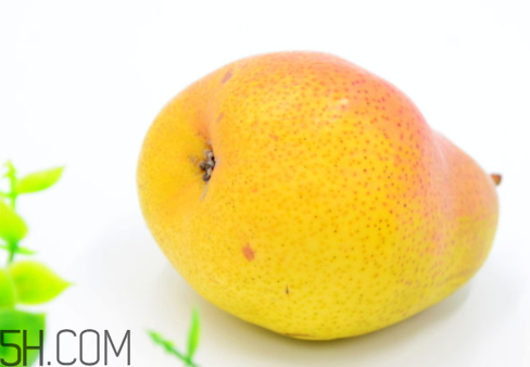 香梨什么時候吃最好 香梨什么時候上市 香梨什么時候吃最好 香梨什么時候上市