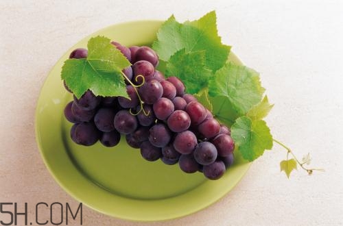 老年人吃葡萄有哪些好處？吃葡萄的注意事項是什么？