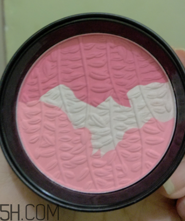 瑪麗黛佳腮紅怎么打？瑪麗黛佳腮紅怎么用？