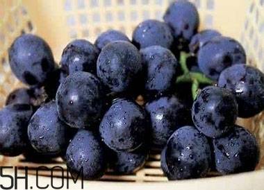 吃黑加侖對(duì)眼睛有什么好處？吃黑加侖要注意什么？