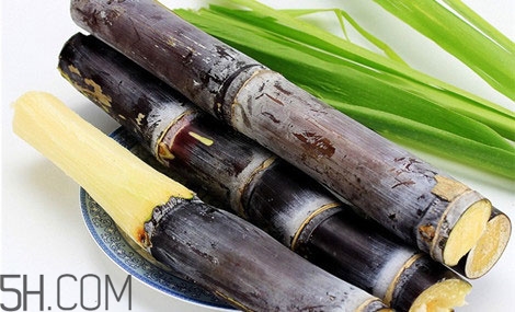 吃完甘蔗多久可以吃柿子？甘蔗和柿子一起吃了怎么辦？