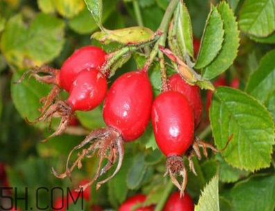 unichi玫瑰果膠囊能美白祛斑嗎？unichi玫瑰果膠囊有副作用嗎？