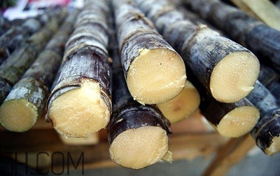 甘蔗和橙子能一起吃嗎？吃完甘蔗可以吃橙子嗎？