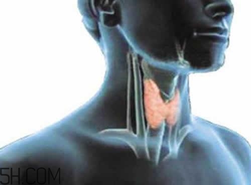 甲狀腺腫大和甲亢的區(qū)別有哪些？甲狀腺腫大適合吃什么食物？