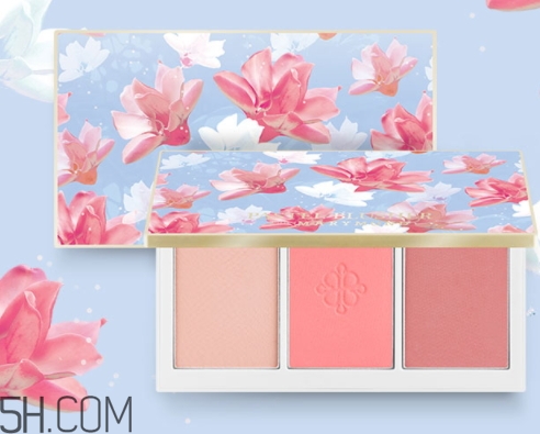 腮紅盤碎了怎么辦？腮紅盤摔碎了怎么修復(fù)