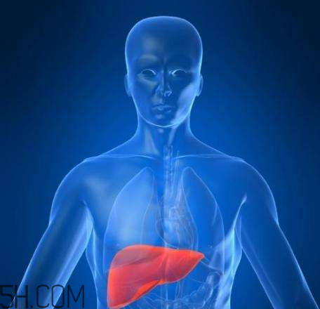 牙齦出血是肝臟出了問題？牙齦出血跟肝臟病變是否劃等號？