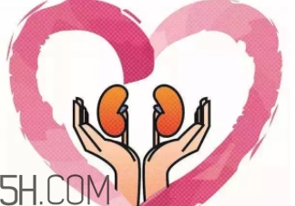 腎不好會早衰越長越矮？護(hù)腎千金方早用早好