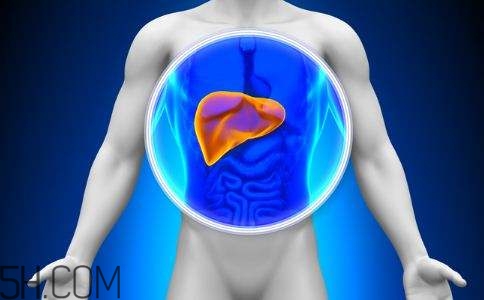 肝癌的高發(fā)人群有哪些？日常怎么預(yù)防肝癌？