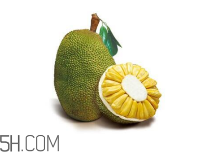 為什么吃菠蘿蜜拉肚子？吃菠蘿蜜拉肚子怎么辦？