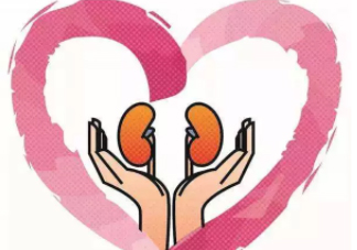 腎不好會(huì)早衰越長越矮？護(hù)腎千金方早用早好