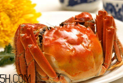 冬天可以吃大閘蟹嗎？冬天怎么吃大閘蟹？