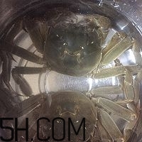 冬天可以吃大閘蟹嗎？冬天怎么吃大閘蟹？